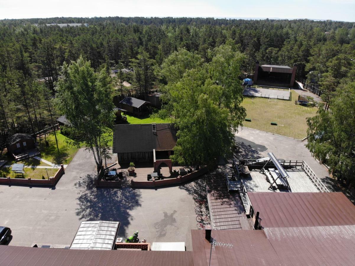 Viking 3*